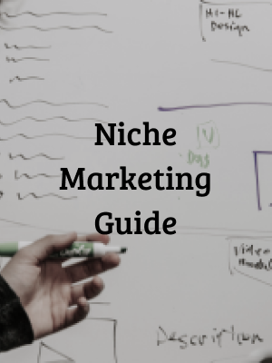 Niche Marketing Video Guide